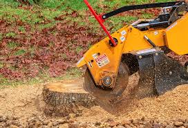 Best Weed Control  in Tiptonville, TN