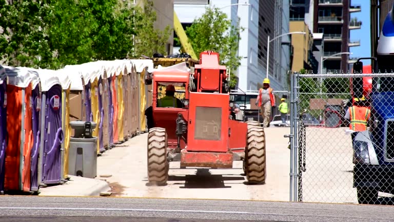 Best Stump Grinding and Removal  in Tiptonville, TN